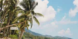 Ko Lanta